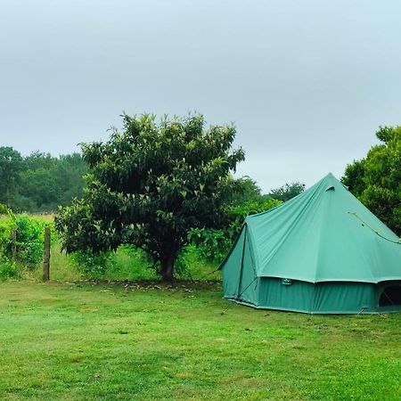 Quinta Da Teimosa Villa Monção Eksteriør bilde